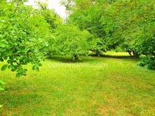 BEAUCHAMP (95) — TERRAIN ARBORÉ AU CALME