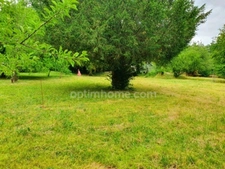 BEAUCHAMP (95) — TERRAIN ARBORÉ AU CALME