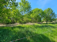 Terrain 2507 m²
