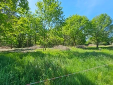 Terrain 3818 m²