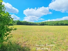 Terrain constructible 5426 m² 