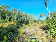 Terrain constructible de 10139 m²
