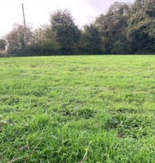 TREGOUREZ (29): Constructible 2000m2 – 20 min de Quimper – Libre de Constructeur – 