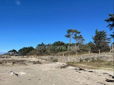 Concarneau (29) : Presqu'île du Cabellou : Maison, 4 chambres avec chemin privé menant directement à la plage.