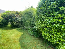  Trégourez: Maison néo-bretonne – 4 chambres, jardin, à 20 minutes de Quimper.