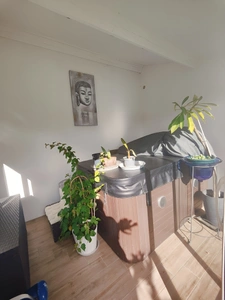Maison à vendre 5 pièces VILLEMAGNE L'ARGENTIERE (34)