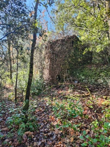Terrain à vendre de 9 375,00 m² GRAISSESSAC (34)