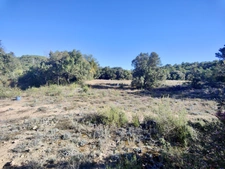 Terrain à vendre de 15305m²  CARLENCAS ET LEVAS (34)