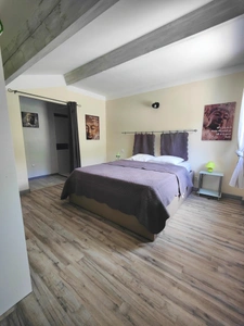 Maison à vendre 13 pièces MONS (34)
