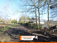 Maison spacieuse avec suite parentale et environnement naturel privilégié et espace équestre
