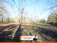Maison spacieuse avec suite parentale et environnement naturel privilégié et espace équestre