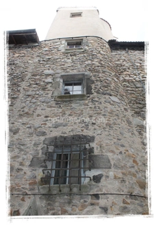 Maison à vendre 7 pièces COURPIERE (63)