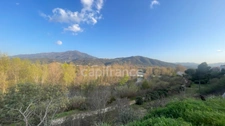 Dpt Pyrénées Orientales (66), à vendre proche ARGELES immeuble ou maison d'hôtes 