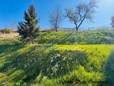 Maison de caractère atypique avec Terrain 1670 m² – Quincié-en-Beaujolais 69430