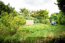 Maison de village avec jardin et potentiel _ QUINCIE EN BEAUJOLAIS (69)