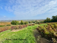 Maison de caractère avec vue imprenable 156 m² – Terrain 2 500 m² – Chénas (69840)