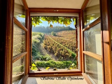 Maison de caractère avec vue imprenable 156 m² – Terrain 2 500 m² – Chénas (69840)