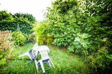 Maison de village avec jardin et potentiel _ QUINCIE EN BEAUJOLAIS (69)