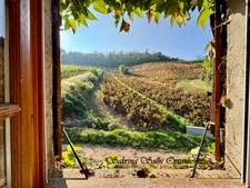 Maison de caractère avec vue imprenable 156 m² – Terrain 2 500 m² – Chénas (69840)