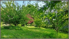 PAVILLON D'EXCEPTION 204 m² 3 CH BUREAU SOUS-SOL JARDIN EXPO SUD