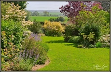 PAVILLON D'EXCEPTION 204 m² 3 CH BUREAU SOUS-SOL JARDIN EXPO SUD