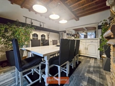 MAISON SEMI PLAIN-PIED INDIVIDUELLE 156 m² GARAGE GRANGE JARDIN EXPO SUD-EST