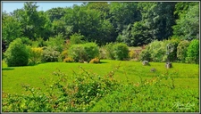 PAVILLON D'EXCEPTION 204 m² 3 CH BUREAU SOUS-SOL JARDIN EXPO SUD