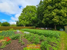 MAISON SEMI PLAIN-PIED 170 M² 4 CH JARDIN EXPO SUD