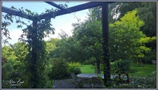 PAVILLON D'EXCEPTION 204 m² 3 CH BUREAU SOUS-SOL JARDIN EXPO SUD