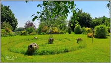 PAVILLON D'EXCEPTION 204 m² 3 CH BUREAU SOUS-SOL JARDIN EXPO SUD