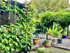 BLANQUEFORT – MAISON EN PIERRE 195 M² – 4 CHAMBRES, JARDIN SANS VIS-À-VIS ET DÉPENDANCE