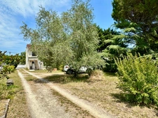 Maison des années 50 à rénover – 86 m² habitables – Grand terrain arboré – Secteur Hourcade