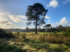 TERRAIN 7500M2 St Morillon 