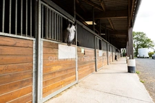  EXCLUSIVITE!PROPRIETE EQUESTRE DE HAUT STANDING de près dze 5 ha, A 10 Min DE LA PLAGE , 1 MAISON D'HABITATION DE 150 m², UN STUDIO , 43 BOXES, UNE PISTE DE GALOP, CARRIERE de 75m x 65m et 20 ha pos