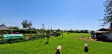En EXCLUSIVITE Maison de caractère familiale sur 1,4 hectare avec dépendance et jardin paysagé – Proche Bayeux (14)