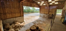  EXCLUSIVITE!PROPRIETE EQUESTRE DE HAUT STANDING de près dze 5 ha, A 10 Min DE LA PLAGE , 1 MAISON D'HABITATION DE 150 m², UN STUDIO , 43 BOXES, UNE PISTE DE GALOP, CARRIERE de 75m x 65m et 20 ha pos