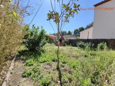 MAISON AVEC JARDIN, à PRADES