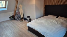 Maison centre ville 3 chambres + jardin