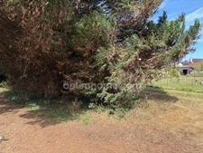 Terrain à vendre de 7 000,00 m² WARHEM (59)