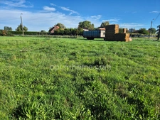 Terrain à vendre de 1 561,00 m² FRELINGHIEN (59)