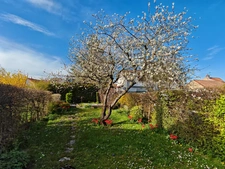 Maison à vendre 6 pièces DIJON (21)