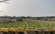 Maison familiale 150 m² – Vieux Chenôve, au calme près des vignes