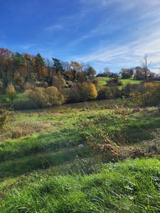 Etang à vendre de 5,6ha secteur BOLOGNE (52)