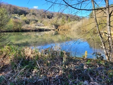 Etang à vendre de 5,6ha secteur BOLOGNE (52)