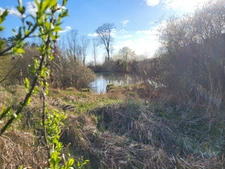 Etang à vendre de 5,6ha secteur BOLOGNE (52)