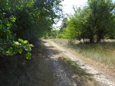 Petit Paradis ! (52)
