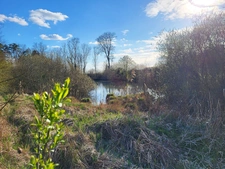 Etang à vendre de 5,6ha secteur BOLOGNE (52)