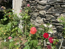 Maison à vendre 2 pièces HANVEC (29)