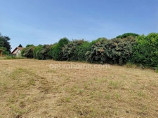 Terrain à vendre de 740 m² Proche de PEYREHORADE (40)
