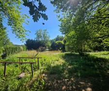 Chaumière avec pêcherie et terrain arboré